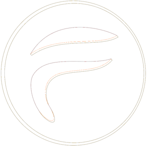 Finnix Solutions Logo - Transparent White